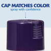 Painter's Touch Purple Spray Paint 334042 776920