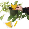 Intruder 10pk the Better Bugtrap 21085 709223