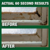 Mold Armor Rapid Clean Remediation 1 Gal. Mold Remover FG591 643874