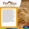 ADM Pen Pals 25 Lb. Chicken Starter-Grower Chicken Feed 70009AAA46 704180