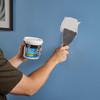 DAP ALEX PLUS 16 Oz. Professional Latex Spackling 7079818745 772183