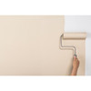 Rust-Oleum Sure Color Eggshell Soft Beige Interior Wall Paint and Primer, Gallon 380222 776307