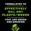Ortho GroundClear 1 Gal. Refill Weed & Grass Killer 4613504 716228