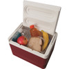 Igloo Legend 9 Qt. Cooler, Red 43358 814792