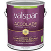 Accolade Int Sat Tint Bs Paint 028.0012003.007