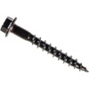 Outdoor Accents #10x1.5" Hex Screw SD10112DBBR50