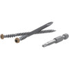 Trapease Brn Trapease Deck Screw FMTED-212-1050BR