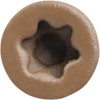 Trapease Brn Trapease Deck Screw FMTED-212-75BR 200264