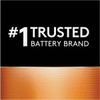 Duracell CopperTop 9V Alkaline Battery (4-Pack) MN16B4DW 822647