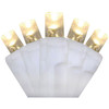 Home Impressions 100lt Ww 5mmled Lightset KT-LED-2439