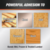 DAP SMARTBOND 20 Oz. Gun Grade Subfloor Adhesive 7079800056 260686