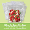 FoodSaver 1 Qt. Pre-Cut Bag (19-Ct.) 2215034 620319