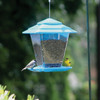 More Birds Plastic 6.6 Lb. Capacity Square Seed Hopper Bird Feeder 50120 703058