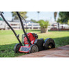 Troy-Bilt TBE304 9 In. 30cc 4-Cycle Gas Edger 25B-304-766 703055