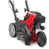 Troy-Bilt TBE304 9 In. 30cc 4-Cycle Gas Edger 25B-304-766 703055