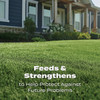 Scotts Turf Builder 12.5 Lb. 5000 Sq. Ft. Lawn Food 22305 765206