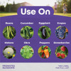 Bonide 8 Oz. Ready To Use Pump Tomato & Blossom Set Spray 5436 714062