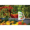 Osmocote Smart-Release 4.5 Lb. Flower & Vegetable Plant Food 277860 740166