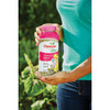 Osmocote Smart-Release Plus 2 Lb. Outdoor & Indoor Plant Food 2345012 702164