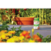Osmocote Smart-Release 1 Lb. Flower & Vegetable Plant Food 277160 722839