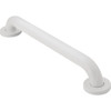 Moen Home Care 18 In. Concealed Screw Grab Bar, Glacier R8918W