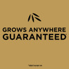 eZ Seed 10lb Tall Fescue Ez Seed 17519 764803