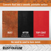 Rust-Oleum Stops Rust 10.25 Oz. Flat Black Rust Reformer 215215 778193