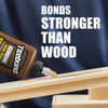 Titebond 8 Oz. Liquid Hide Wood Glue 5013 339873