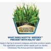 Scotts WeedEx Prevent with Halts 10.06 Lb. 5000 Sq. Ft. Crabgrass Preventer 49024 741380