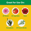 Miracle-Gro 10 Lb. Water Soluble All Purpose Plant Food 1001193 759389