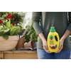 Miracle-Gro 32 Oz. Liquid All Purpose Plant Food 3001502 703604