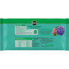 Miracle-Gro Tree & Shrub Fertilizer Spikes (12-Pack) 4851012 765053