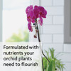 Miracle-Gro 8 Oz. Ready To Use Indoor Orchid Plant Food Mist 3421506 701258