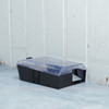 Victor Catch & Hold Mouse Trap M335 751216