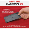 TOMCAT Mouse Size Glue Trap (4-Pack) 0362310 702393
