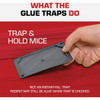 TOMCAT Mouse Size Glue Trap (4-Pack) 0362310 702393