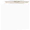 Centurion 1-Ply 3-1-8 In. W. x 230 Ft. L. Thermal Paper Receipt Roll, (50-Pack) GEN900 991305