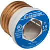 Bussmann 15A T Time-Delay Plug Fuse (2-Pack) BP-T-15 500823