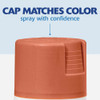 Painter's Touch Sat Cinnamon Spray Paint 334061 772189