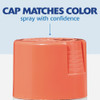 Painter's Touch Gls Coral Spray Paint 334052 772161