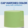 Painter's Touch Sat Grn Apple Spry Paint 334070 772182
