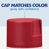 Painter's Touch Col Red Sat Spray Paint 334063 795155