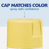 Painter's Touch Sat Lemon Grs Spry Paint 334081 772201