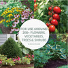 Preen 5.625 Lb. Ready To Use Granules Garden Weed Preventer 2463795 740755