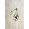 Home Impressions Chrome Single Acrylic Handle Shower Faucet F1010200CP-JPA9 400705