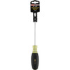 Do it Best 1-4 In. x 6 In. Professional Slotted Screwdriver 376388 376388