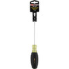 Do it Best 1-4 In. x 6 In. Professional Slotted Screwdriver 376388 376388