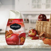 Renuzit 7 Oz. Apple Cinnamon Solid Air Freshener 43122 606189