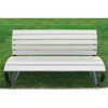 Professional Flat Wht Pro Spray Paint 7590838 783138