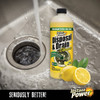 Instant Power 1l Disposer Drn Cleaner 1501 400473